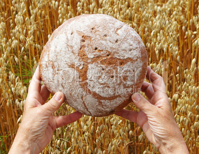 Brot für Alle - Bread for All