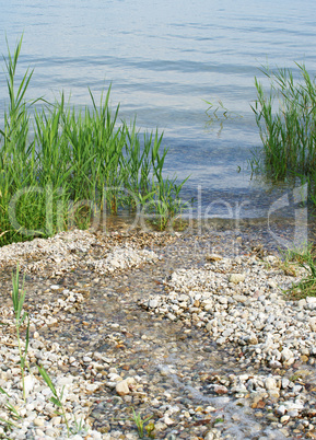 Am See Ufer - At the Lake