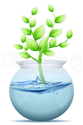 tree in water pot