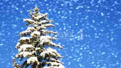 Winterzeit mit Schnee - Wintertime with Snow