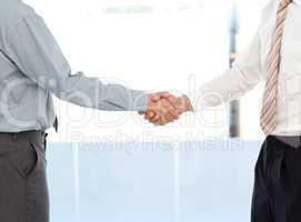 Close up of two businessmen concluding a deal by shaking their h