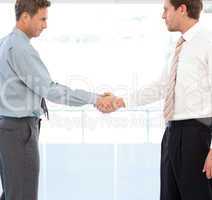 Two partners concluding a deal by shaking hands