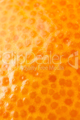 Grapefruit Grapefruit