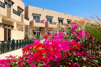 Recreation area of popular hotel, Sharm el Sheikh, Egypt