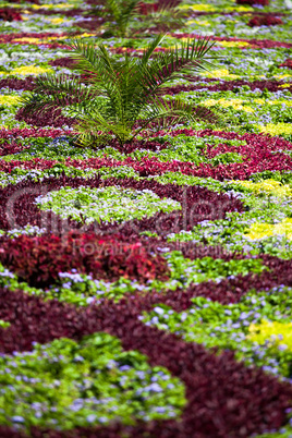 Flower arrangement