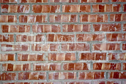 Brick Wall