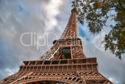 Majesty of Eiffel Tower