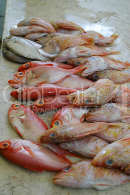 Fresh Fish At A Fishmongers