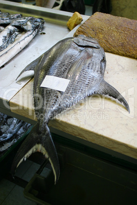 Tuna Fish on Display at Market