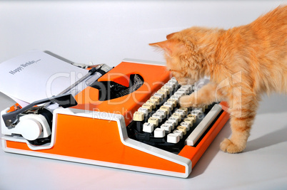 Cat and typewriter