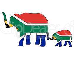 Südafrikanische Elefanten