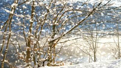 Naturlandschaft im Schnee - Nature with Snow