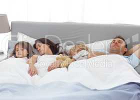 Tranquil children sleeping with their parents