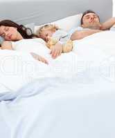 Cute little boy sleeping with his parents