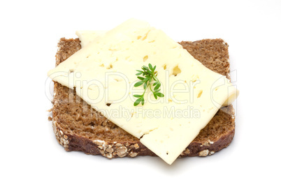 Brotscheibe mit Käse / bread slice with cheese
