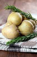 Speisekartoffeln mit Rosmarin / potatoes and rosemary