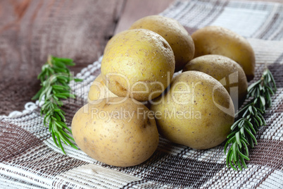 Kartoffeln und Rosmarin / potatoes and rosemary