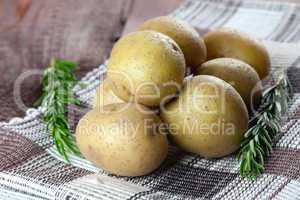 Kartoffeln und Rosmarin / potatoes and rosemary