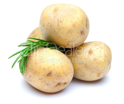 Kartoffeln und Rosmarin / potatoes and rosemary
