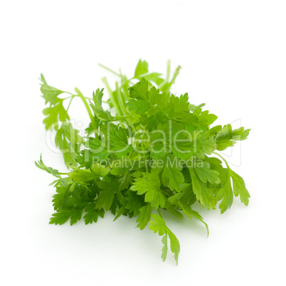 Kerbel / chervil