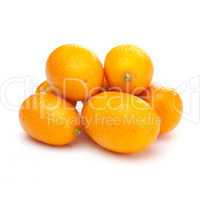 Kumquats / kumquats