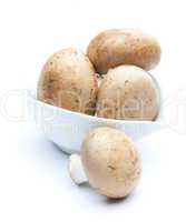 braune Champignons / brown mushrooms