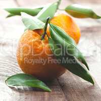 frische Mandarine / fresh tangerine
