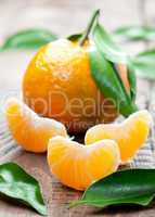Mandarine / tangerine
