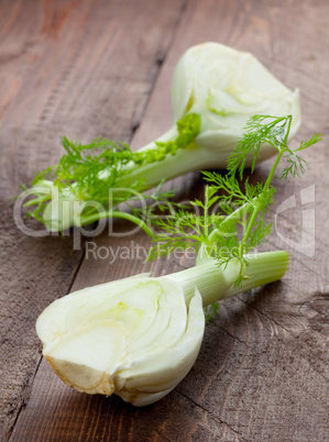 frischer Fenchel / fresh fennel