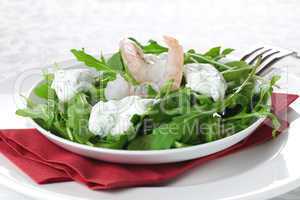 Salat mit Garnele und Remoulade / salad with shrimp and remoulad