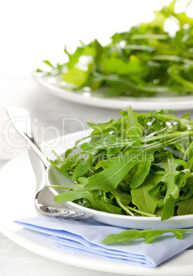 Rucola auf Teller / rucola on plate