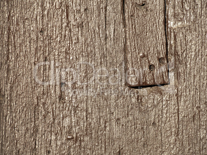 Textur_Holz