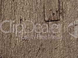 Textur_Holz