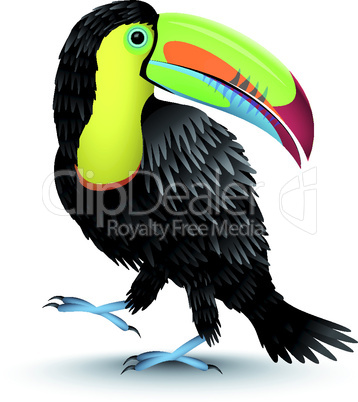 Toucan