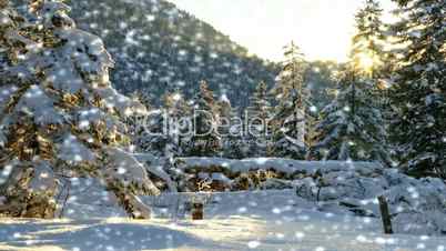 Naturlandschaft im Schnee - Nature with Snow