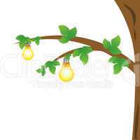 bulbs on tree