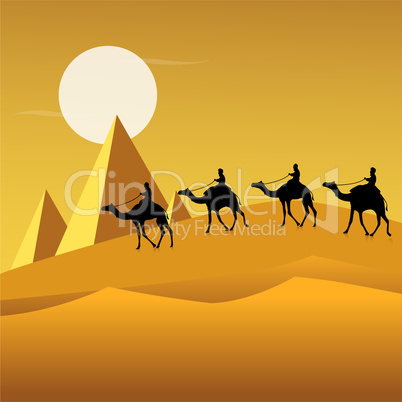 tourists on camels in desert