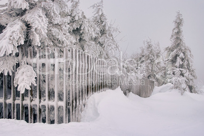 Zaun im Winter - fence in winter 01