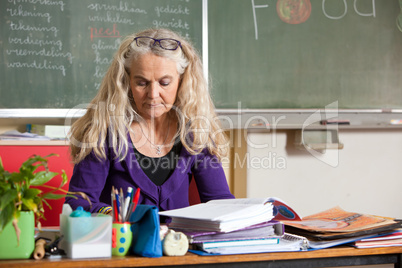 Teacher in the classroom