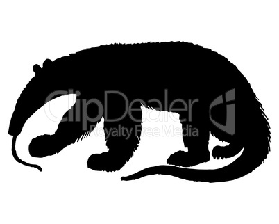 Ameisenbär Silhouette