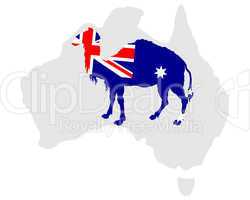 Australisches Kamel