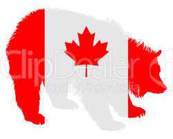 Kanadischer Grizzly