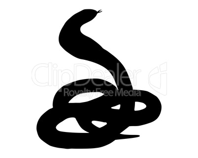 Die scharze Silhouette von einer  Kobra