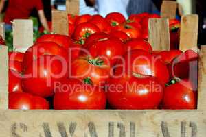 Organic tomatoes on a market stall