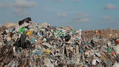 Working in a landfill