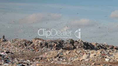 Landfill garbage