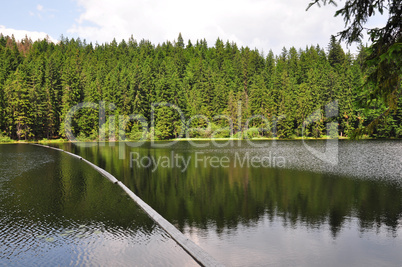 Großer Arbersee