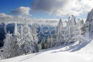 Berglandschaft im Winter