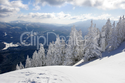 Berglandschaft im Winter