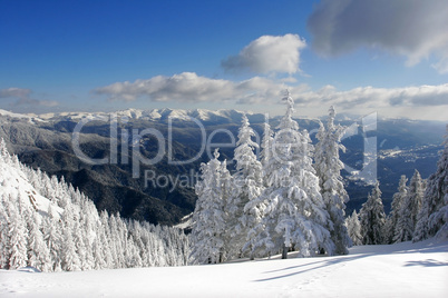 Berglandschaft im Winter